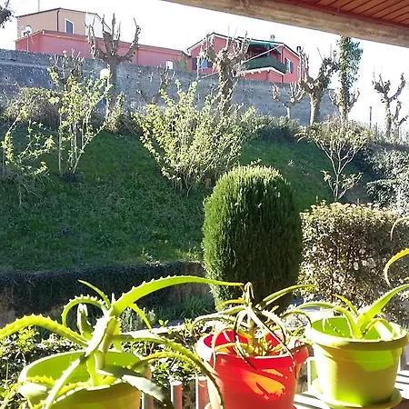 Antonella Casa de hóspedes Tavullia